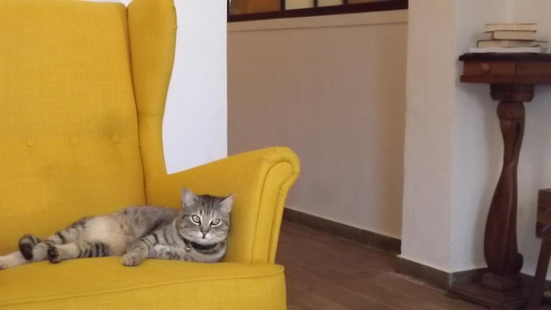 Bed and Breakfast Beb Nonno Baffo Avola Exterior foto