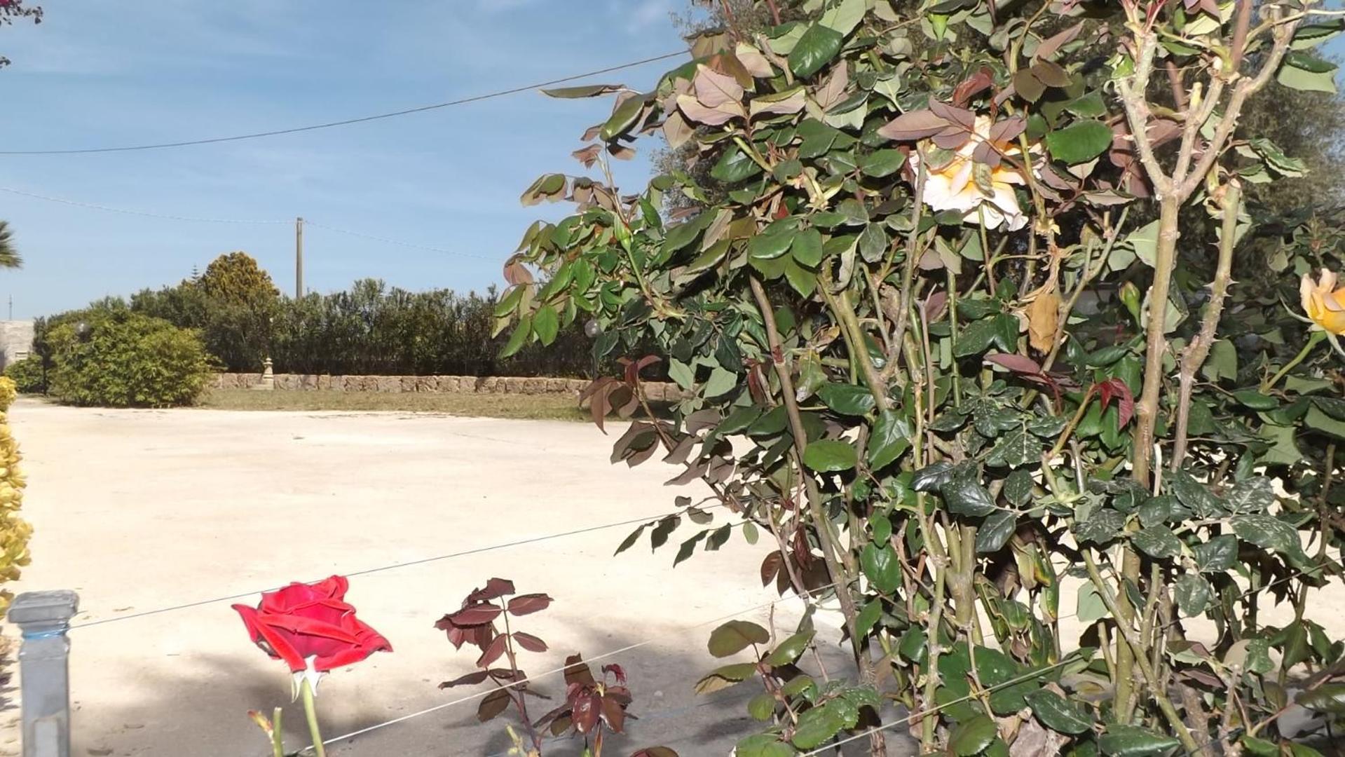 Bed and Breakfast Beb Nonno Baffo Avola Exterior foto