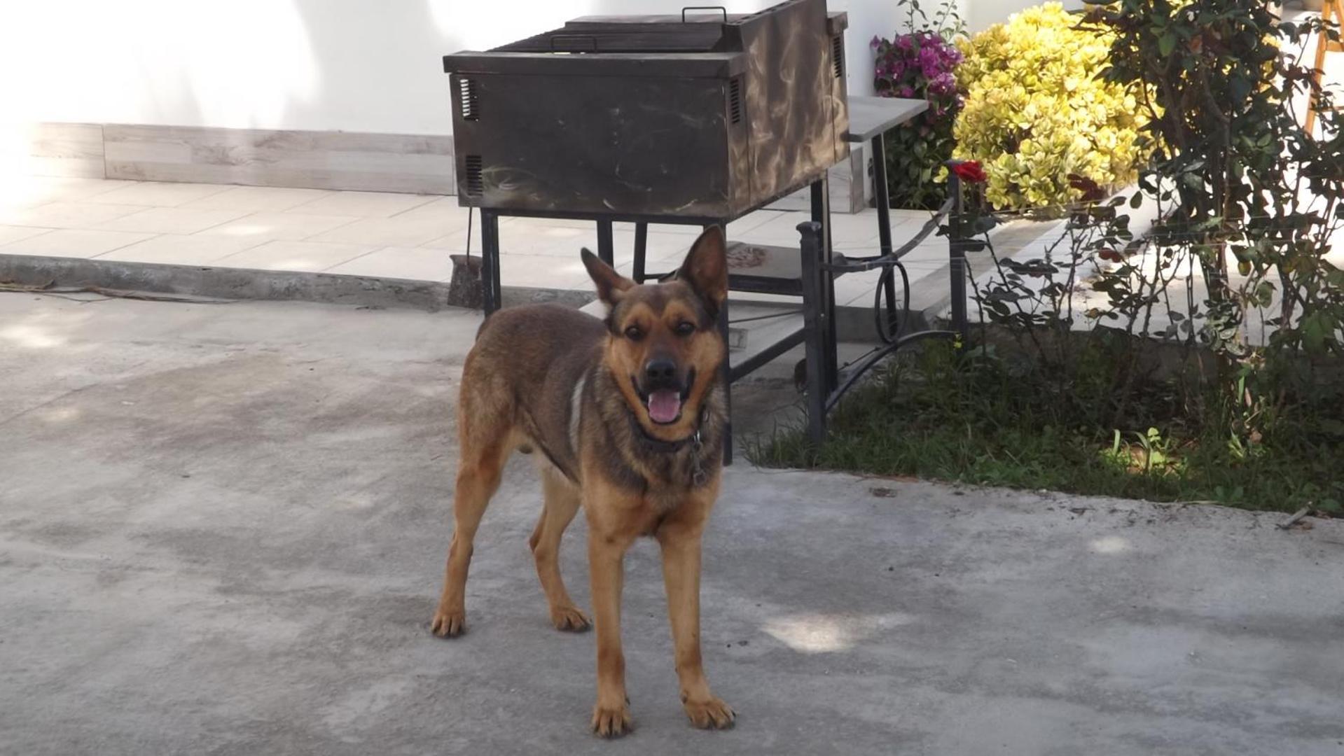 Bed and Breakfast Beb Nonno Baffo Avola Exterior foto